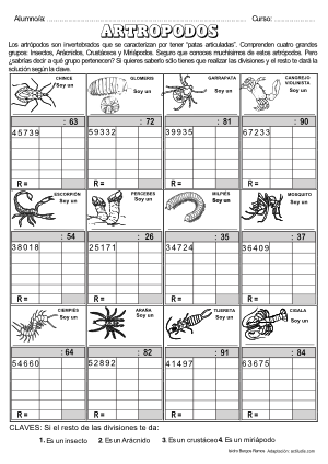 Dividendo Varias cifras y divisor 2 cifras 11